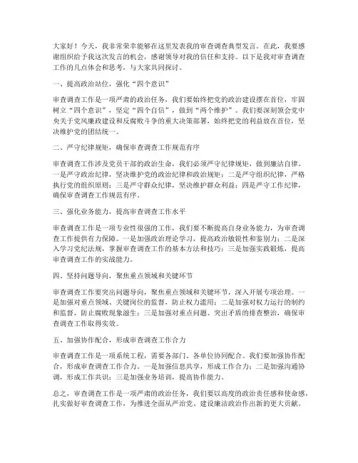 审查调查典型发言稿范文
