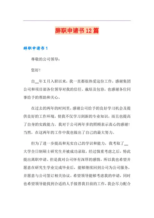 【精编】辞职申请书12篇