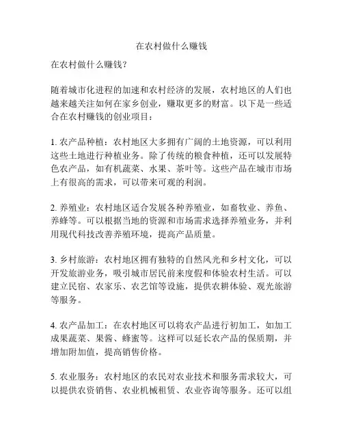 在农村做什么赚钱