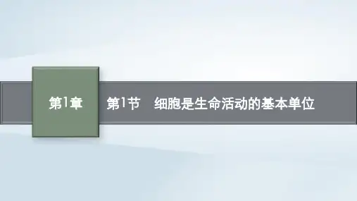 高中生物第1章走近细胞第1节细胞是生命活动的基本单位课件新人教版必修1