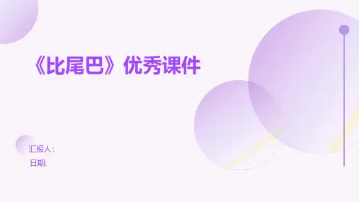 《比尾巴》优秀课件