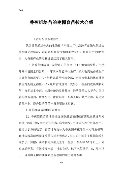 香蕉组培苗的建棚育苗技术介绍 