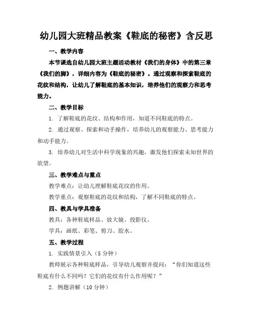 幼儿园大班精品教案《鞋底的秘密》含反思