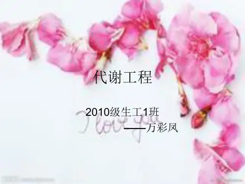 代谢工程