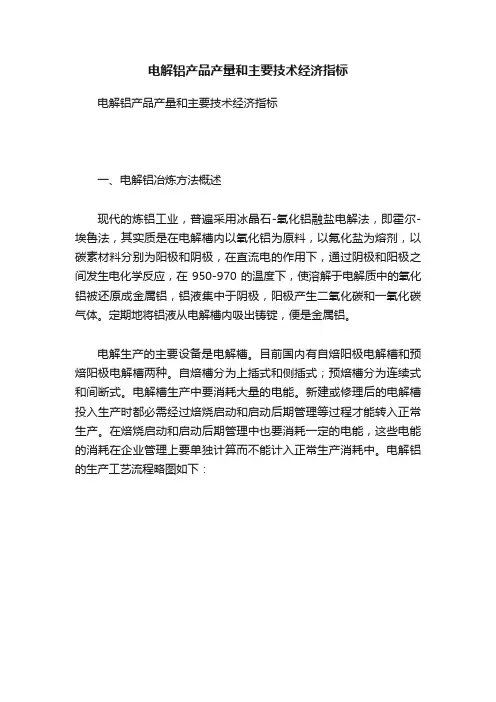 电解铝产品产量和主要技术经济指标