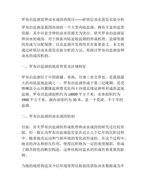 罗布泊盐湖富钾卤水成因再探讨——碎屑层卤水蒸发实验分析