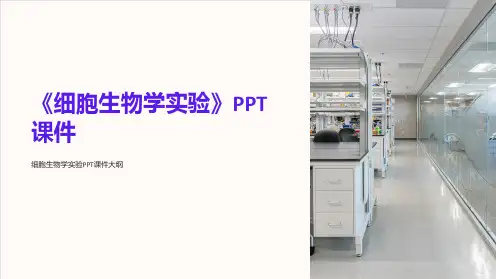 《细胞生物学实验》课件
