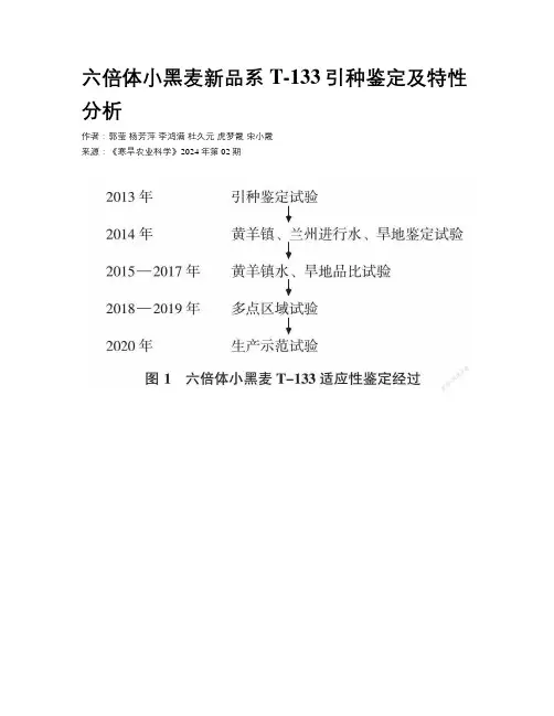 六倍体小黑麦新品系T-133引种鉴定及特性分析