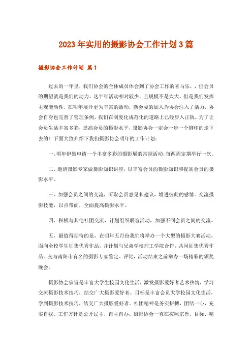 2023年实用的摄影协会工作计划3篇