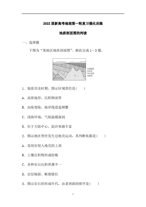 新高考地理人教第一轮复习强化训练：地质剖面图的判读(解析版)