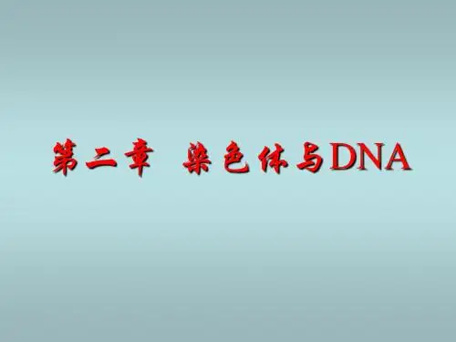 分子生物学课件第二章DNA的结构
