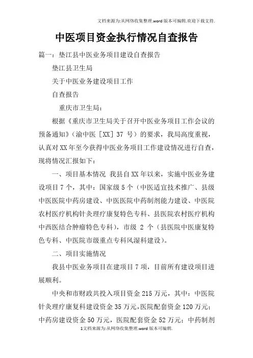 中医项目资金执行情况自查报告