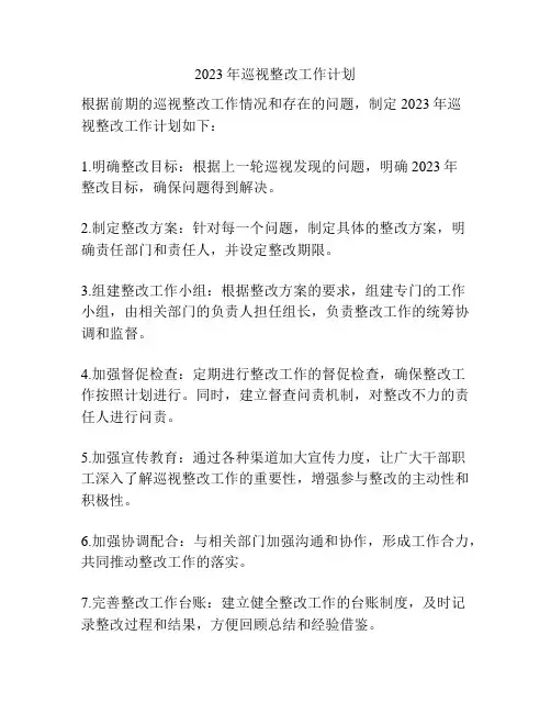 2023年巡视整改工作计划