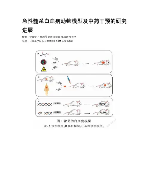 急性髓系白血病动物模型及中药干预的研究进展