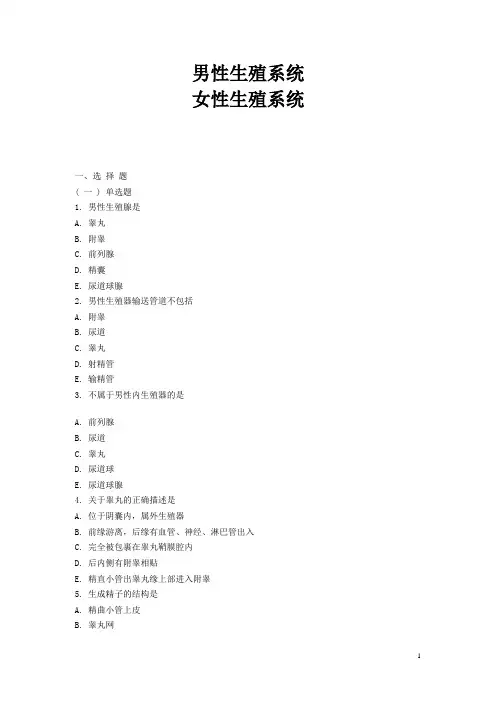 吉林省-《人体解剖学》同步练习题——生殖系统(含答案,人卫版)