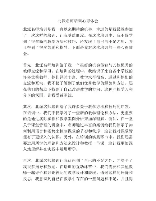 北派名师培训心得体会