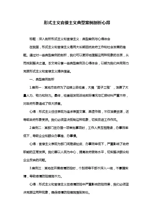 形式主义官僚主义典型案例剖析心得
