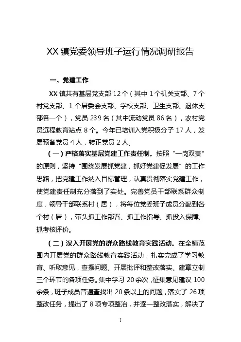 党委领导班子运行情况调研报告