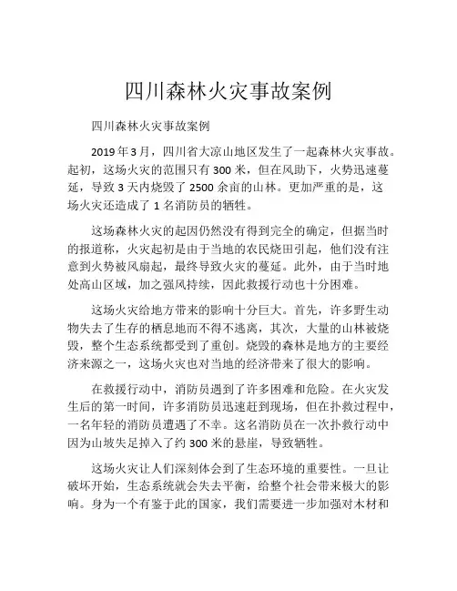 四川森林火灾事故案例