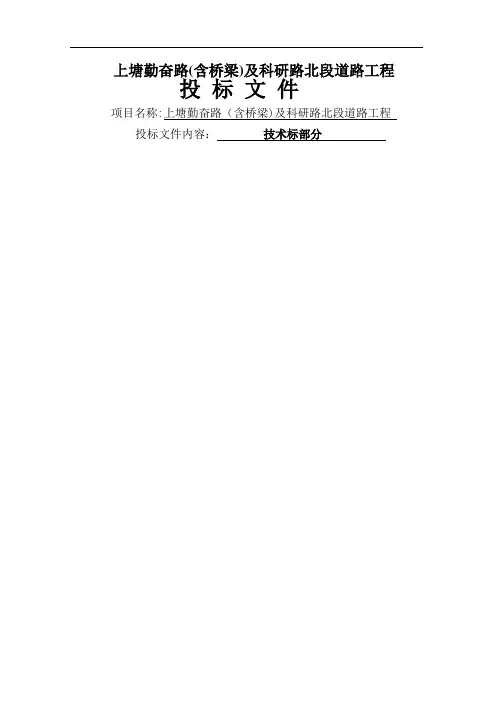 道路工程技术标
