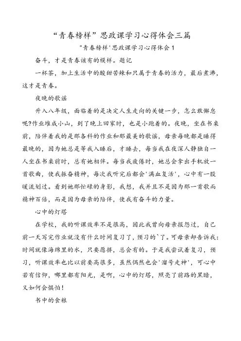 “青春榜样”思政课学习心得体会三篇