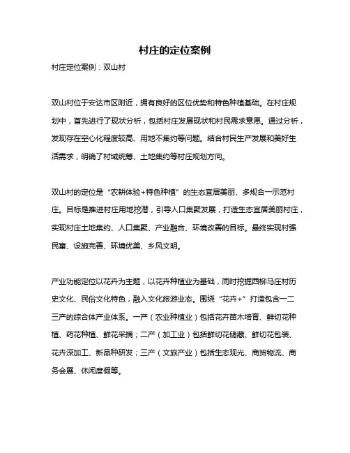 村庄的定位案例