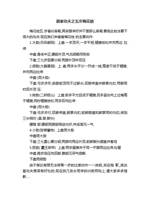道家功夫之五步梅花桩
