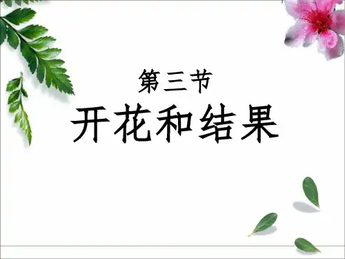人教版初中生物七上3.2.3 开花和结果 课件 (共35张PPT)
