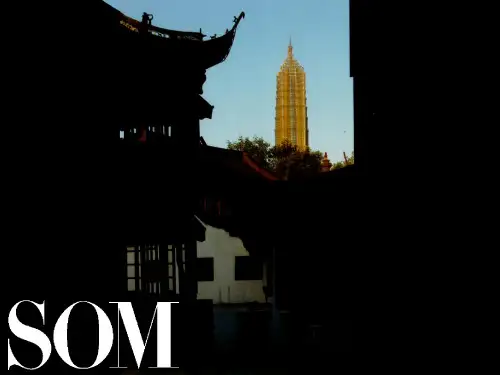SOM长沙湘江滨水区及橘子洲概念规划设计汇报教学教材