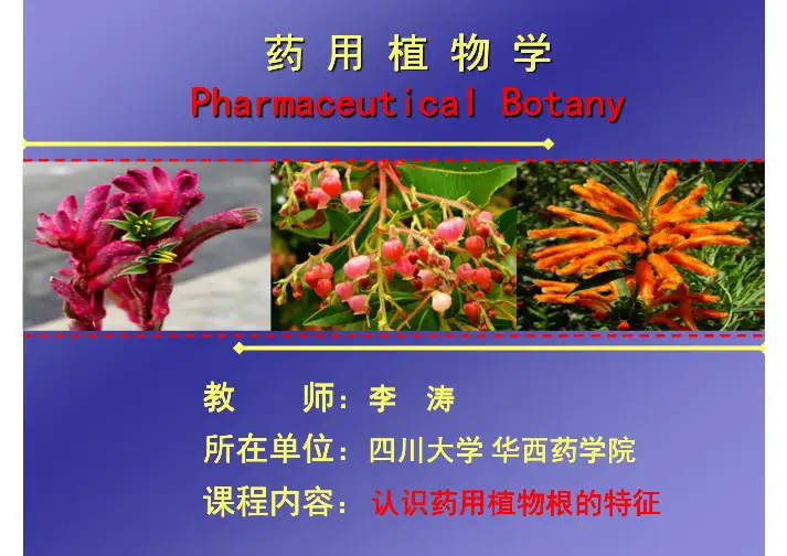 《药用植物学》1.2 变态根的类型(一)