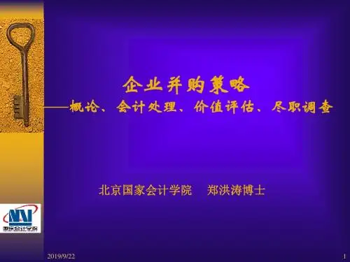 企业并购融资策略(ppt 94页)