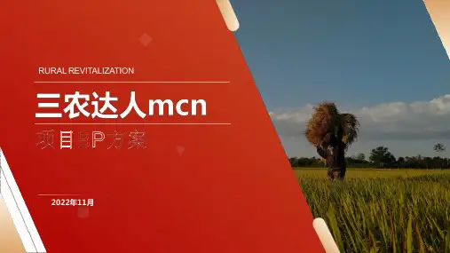 三农达人mcn机构直播电商项目方案(乡村振兴项目BP方案)PPT
