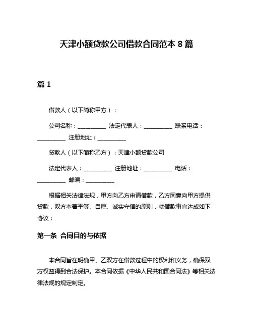 天津小额贷款公司借款合同范本8篇