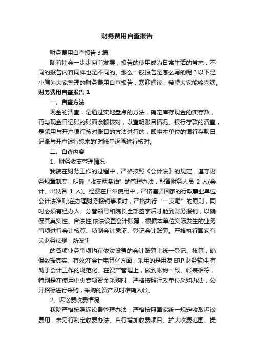 财务费用自查报告