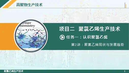 聚氯乙烯生产技术 聚氯乙烯现状与发展趋势