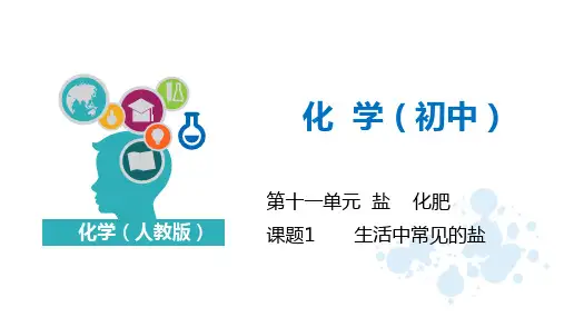 课题11.1 生活中常见的盐PPT
