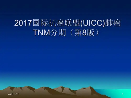 2017第8版国际抗癌联盟-(UICC)肺癌TNM分期