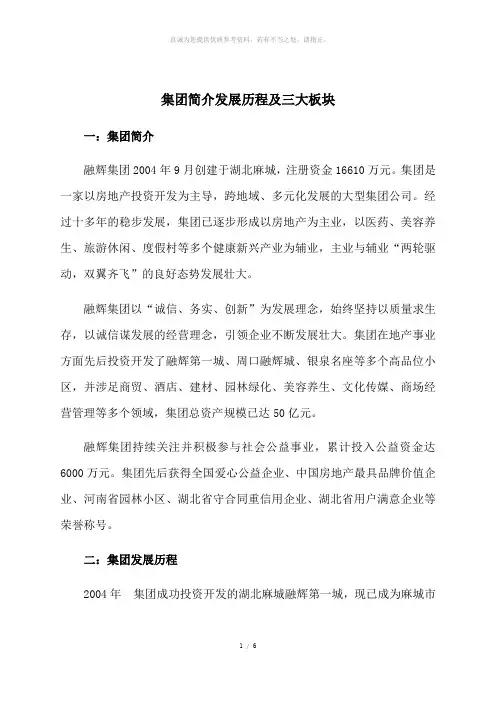 集团简介发展历程及三大板块
