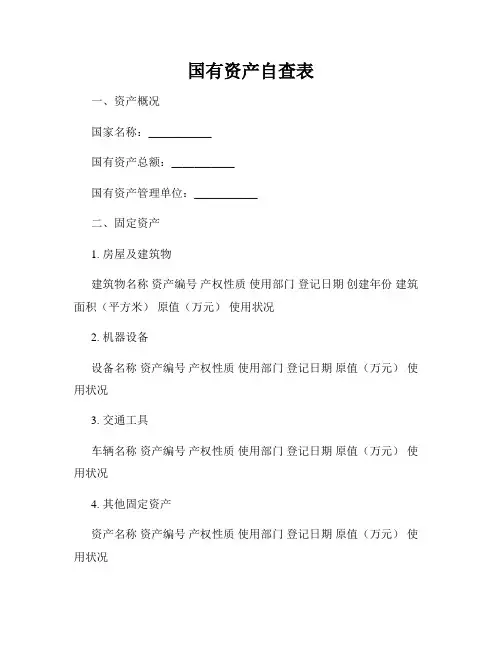国有资产自查表