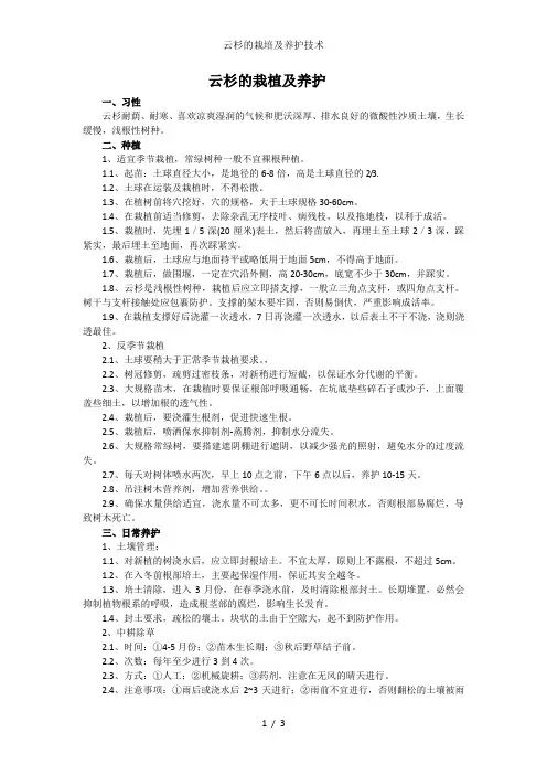 云杉的栽培及养护技术