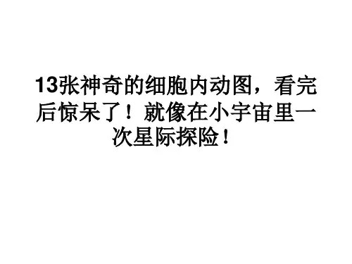 2015诺贝尔奖获得文献图解