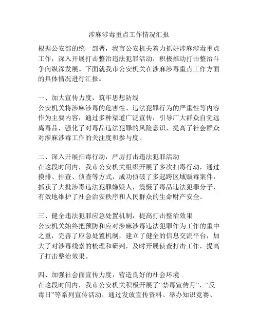 涉麻涉毒重点工作情况汇报
