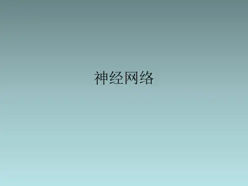 神经网络
