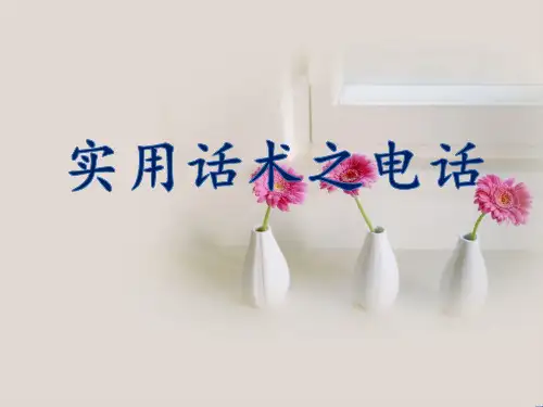 情景模拟：房地产销售电话实用话术
