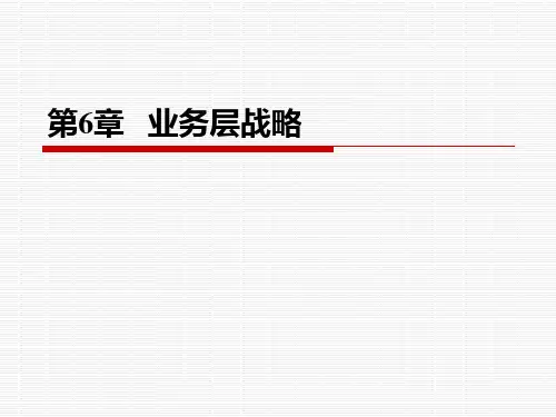 第6章__业务层次战略