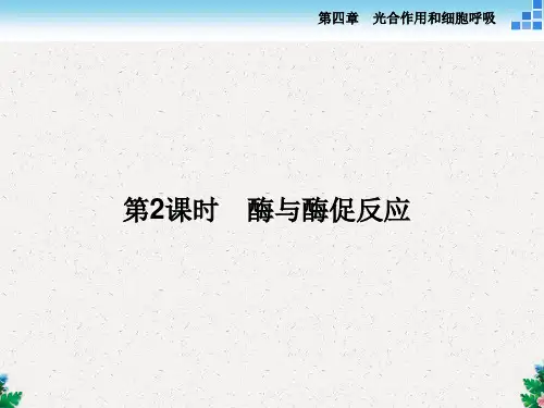 生物苏教版必修1课件：第四章第一节第2讲酶与酶促反应