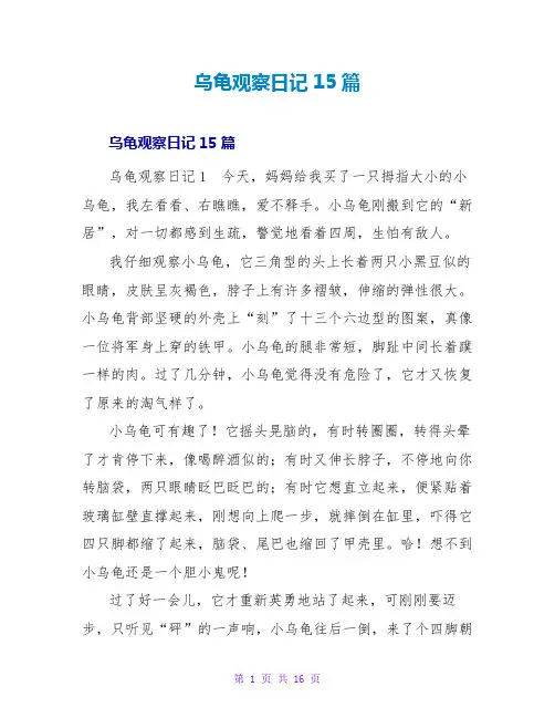 乌龟观察日记15篇