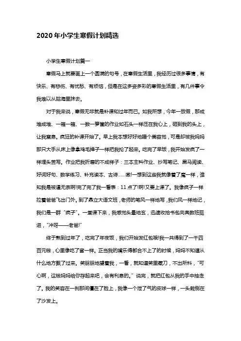 2020年小学生寒假计划精选