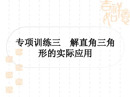 中考数学 中档题突破 专项训练三 解直角三角形的实际应用 类型一：仰角、俯角问题 