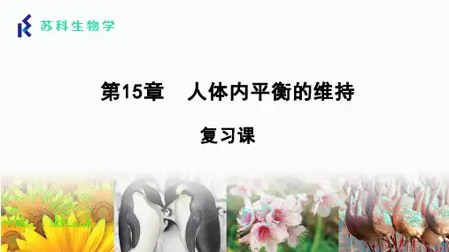 第15章人体内平衡的维持(考点串讲PPT)八年级生物上学期期中考点大串讲(苏科版)